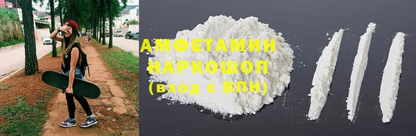 индика Новозыбков