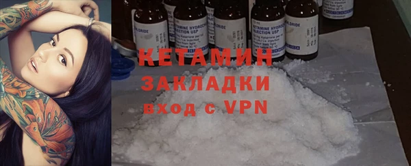 индика Новозыбков