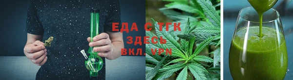 индика Новозыбков