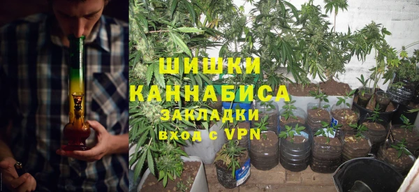 индика Новозыбков