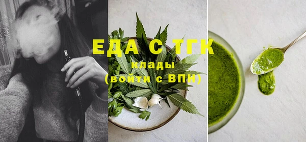 индика Новозыбков