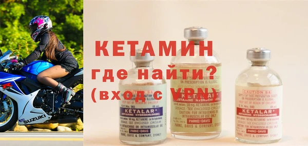 индика Новозыбков