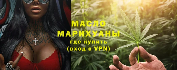 индика Нефтегорск